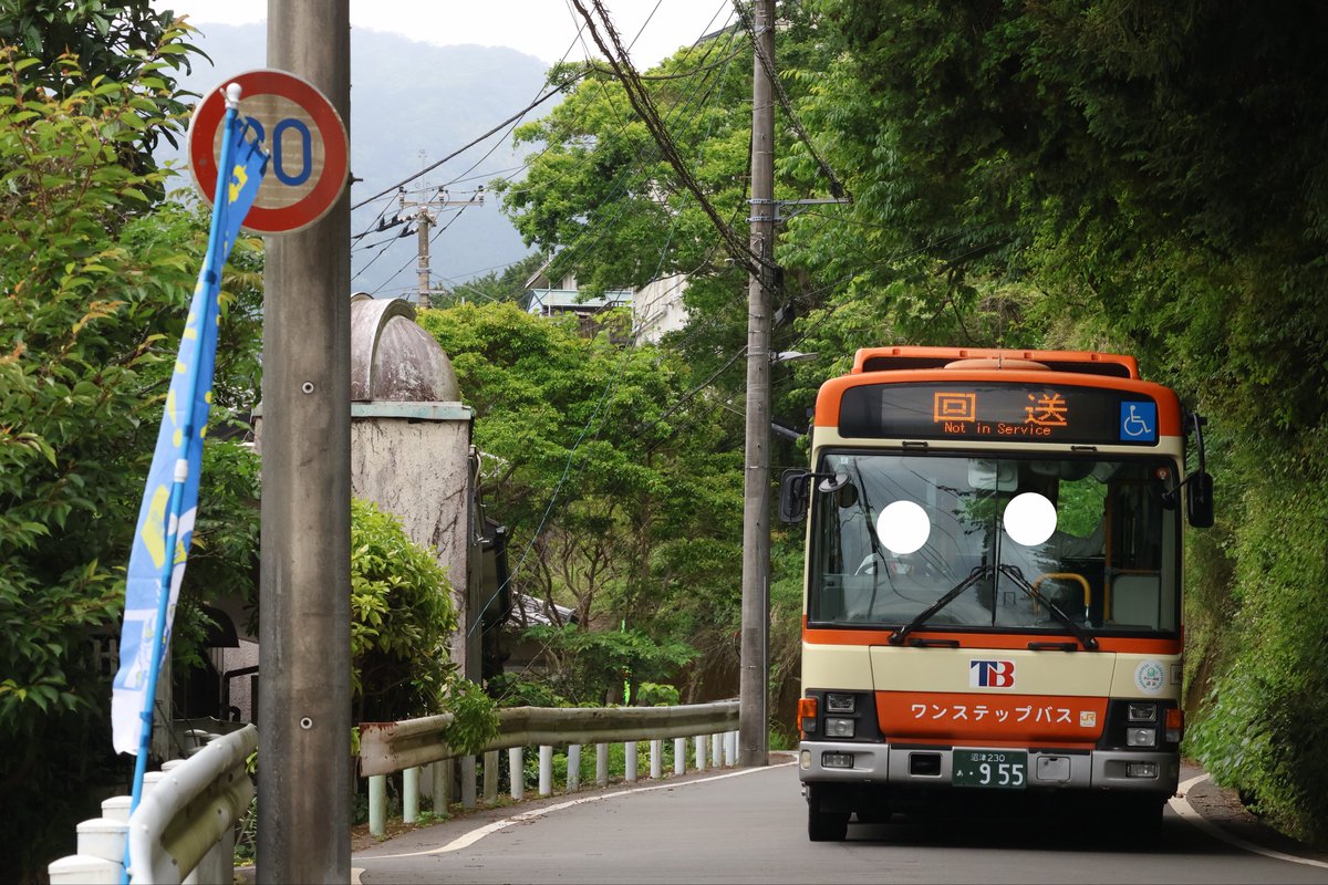 ［N25］サつ🍊✨ tweet media