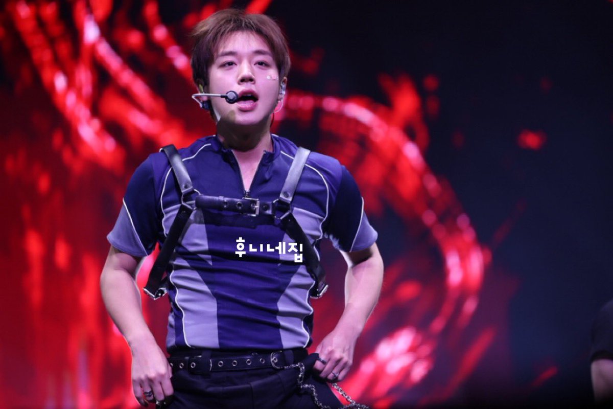 후니네집 tweet media