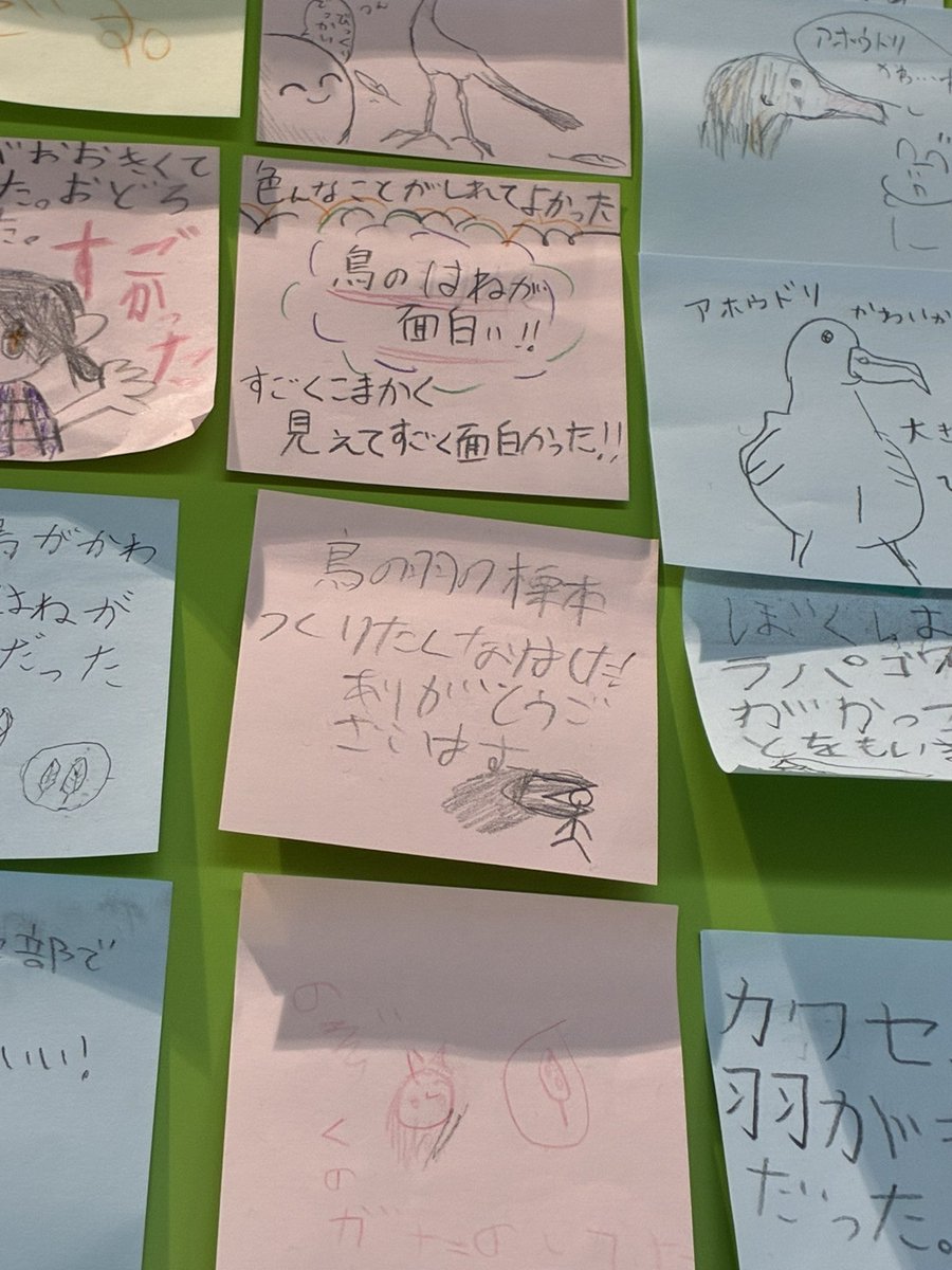 sanbonmatsu_4's tweet photo. 三本松自然史研究会メンバー作成の羽根標本を、川上和人先生が解説してくれました！
付箋の感想も嬉しい！
仙台市科学館では「ダーウィンを驚かせた鳥たち」という特別展示を6/19まで開いていまして、羽根標本も一緒に展示してもらっています！
#羽根標本 
#三本松自然史研究会 
#仙台市科学館 https://t.co/dt6rOO2lkF