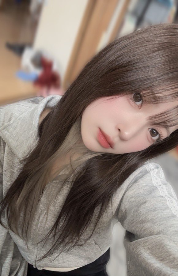 みるくま🧸 tweet media