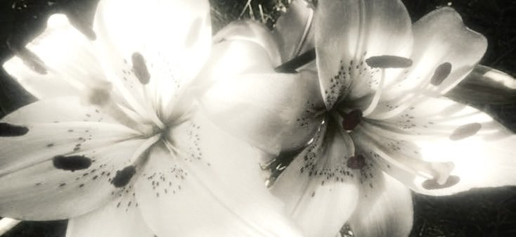 owen ୭ ˚ . ♡ tweet media