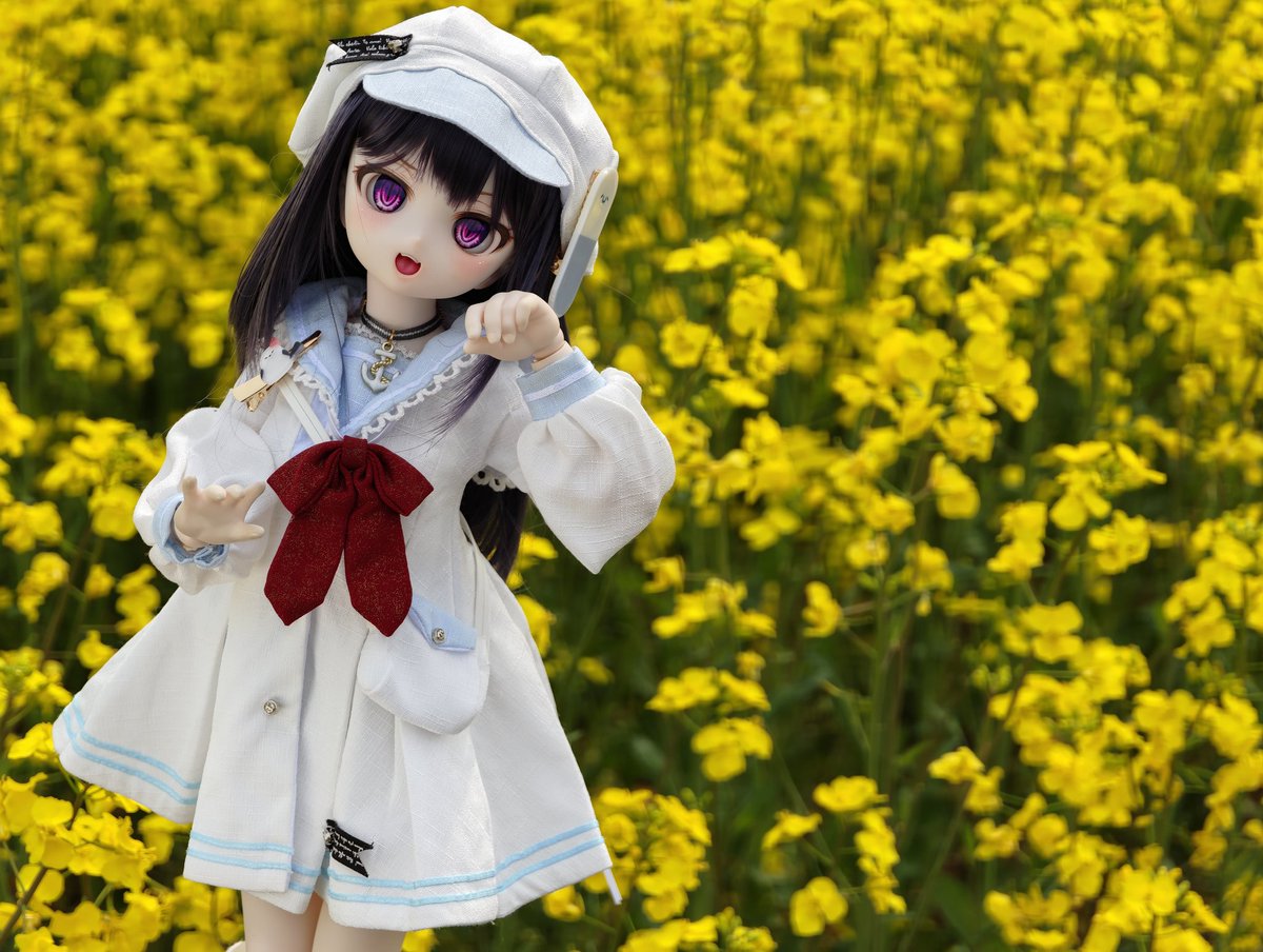 きな屋 (@sera_k) / Posts / X