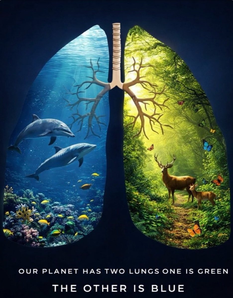 World's Amazing Things tweet media