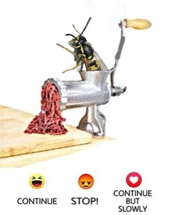 320,000,001 Yellow Jacket Wasps tweet media