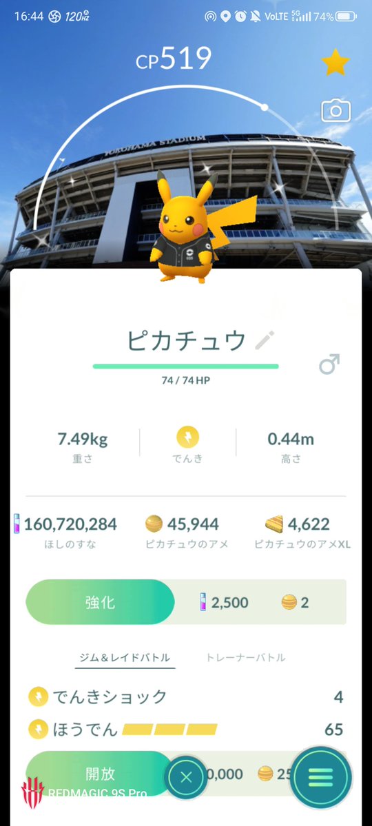 ま(´つヮ⊂)い🍀 tweet media