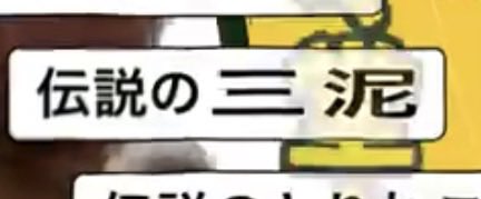 三泥 tweet media