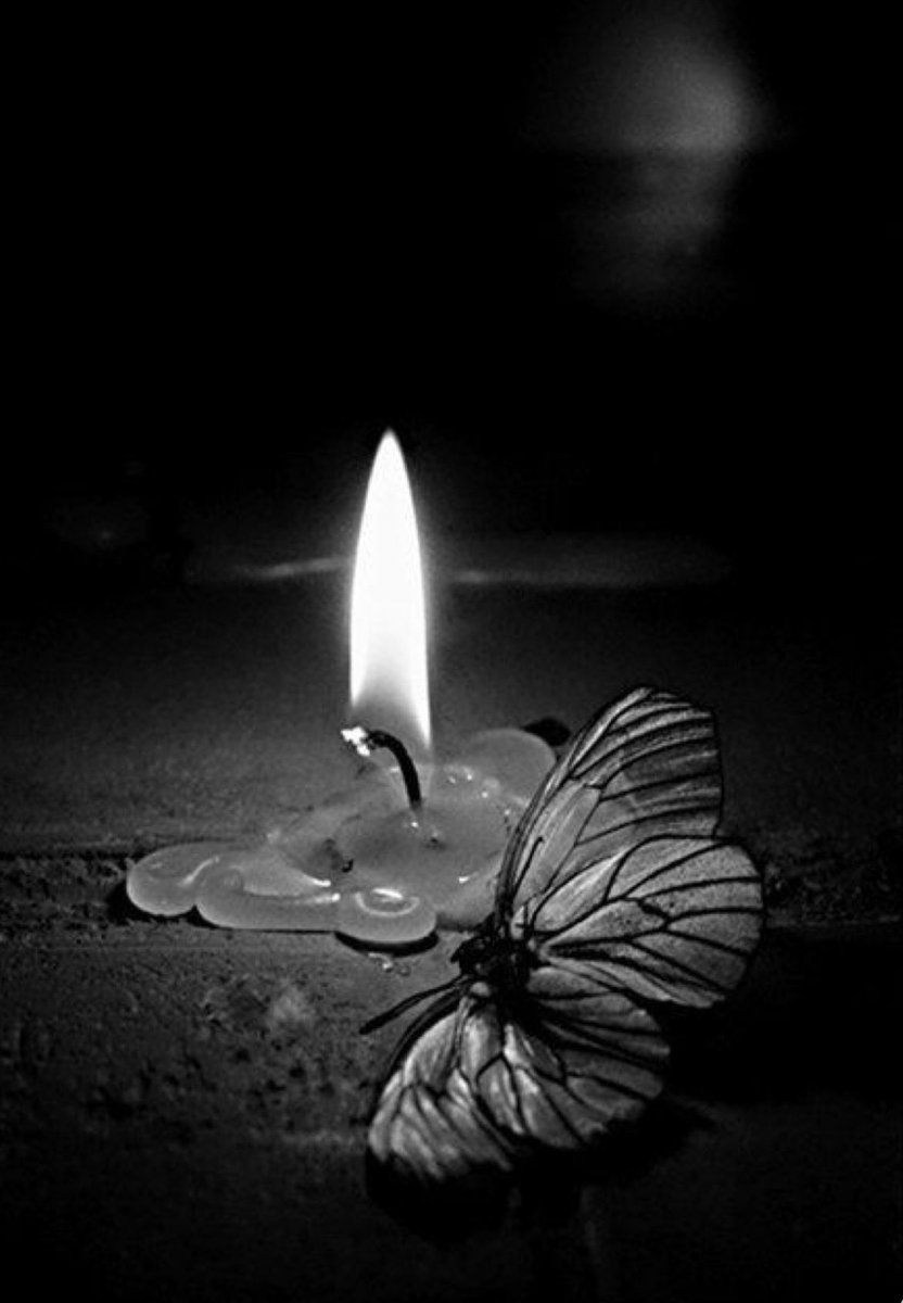 نور °❀⋆.ೃ࿔ tweet media