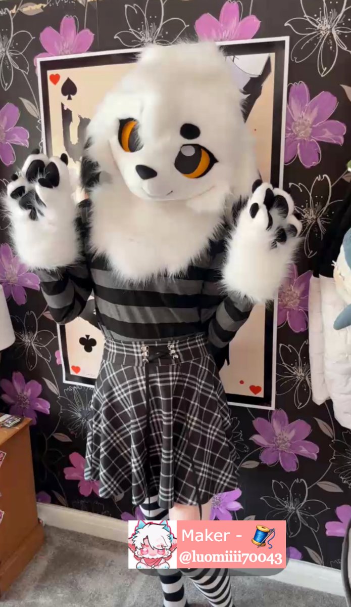Nekoyoko🌸 tweet media