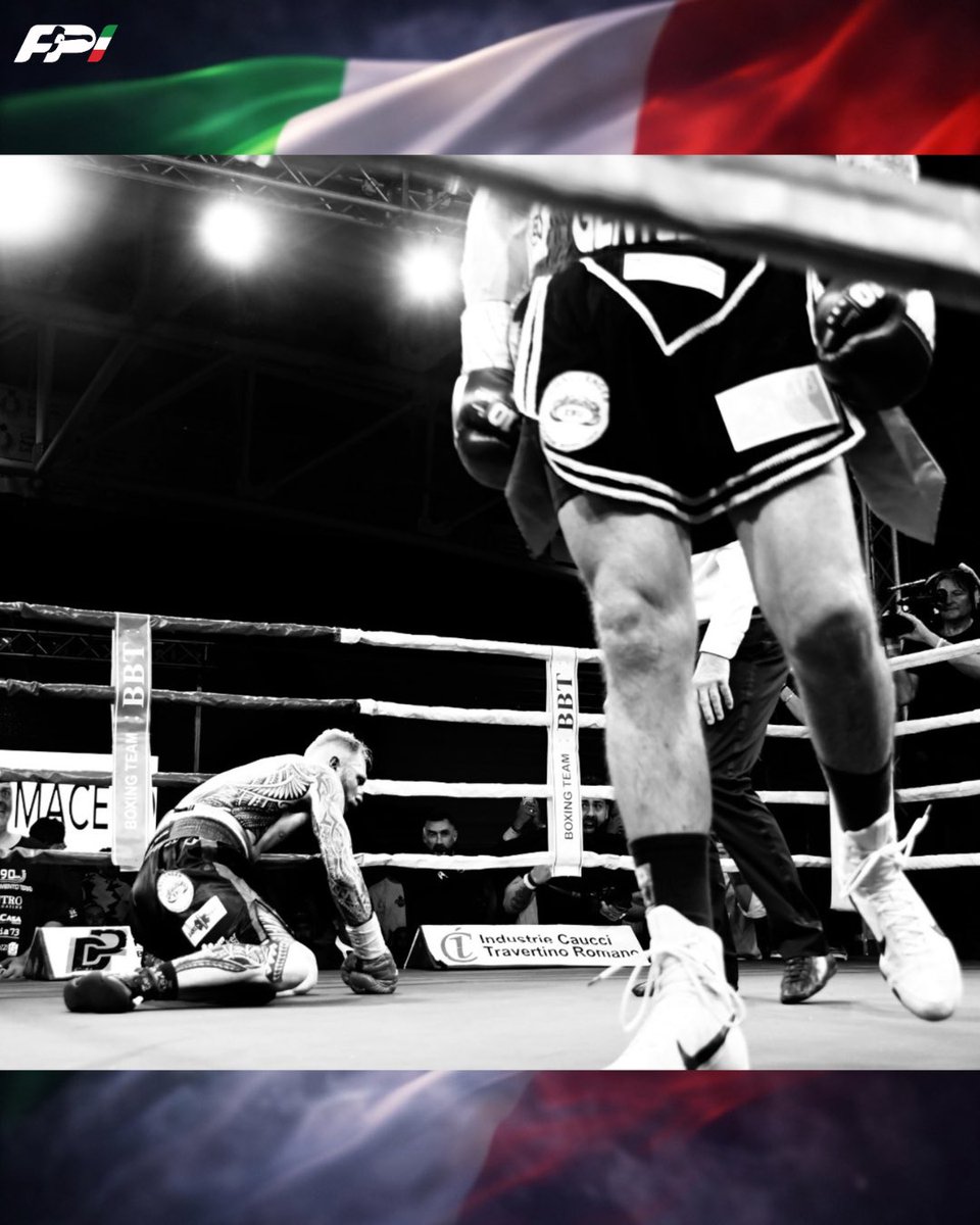 FederPugilistica tweet media