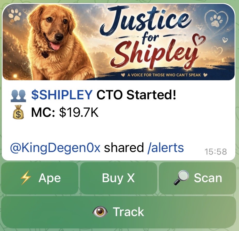 King Degen👑 tweet media