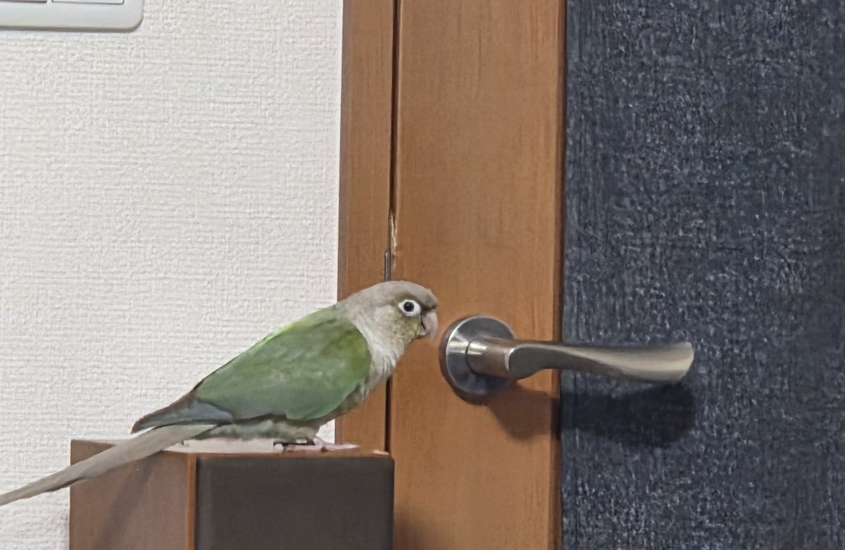 いまじ tweet media