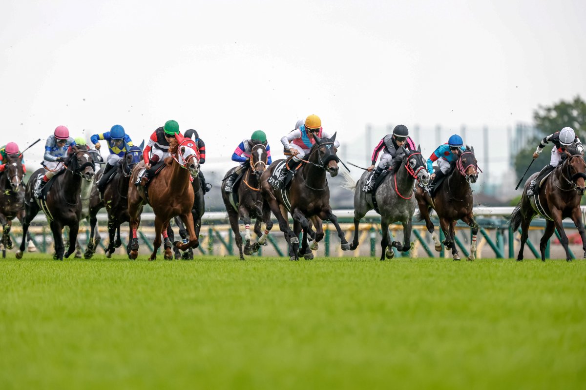 netkeiba's tweet photo. 東京9R カーネーションC 3歳1勝
#イクシード
#クリストフ・ルメール
父キタサンブラック
母シャトーブランシュ
全兄イクイノックス

東京10R 高尾特別 4歳上2勝
#シャイフ
#横山典弘
父ミッキーアイル
母ファディラー
撮影：下野雄規 https://t.co/QoVeHE4rrF