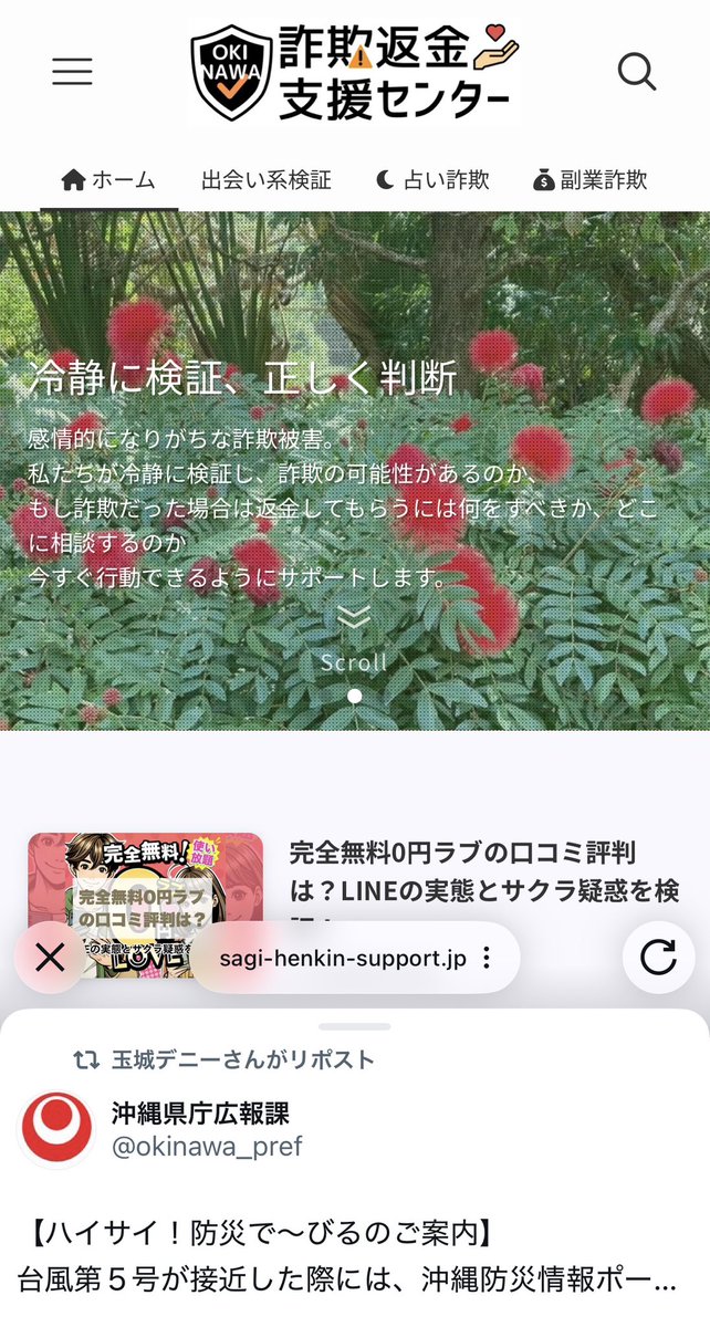 さくら 🎌 沖縄Reboot 🎌 tweet media