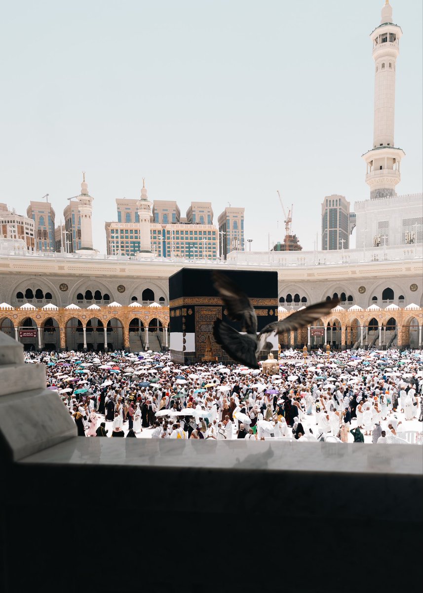 عبدالرحمن المطرفي tweet media