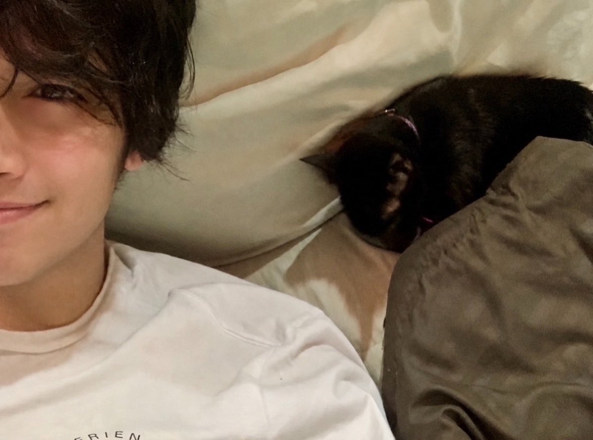 Leo 🐈⬛ ☀️ tweet media