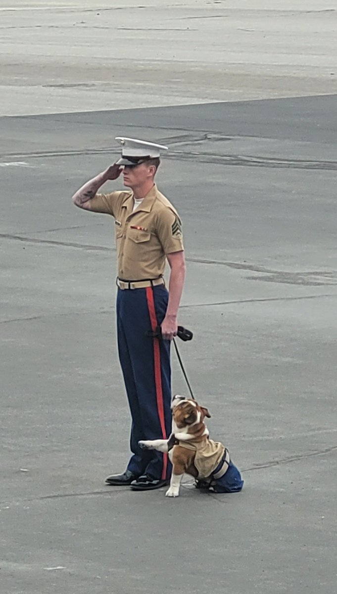 SoCalDan22's tweet photo. @TONYxTWO Have a blessed Memorial weekend. Semper Fi. https://t.co/uGSa3woCeF