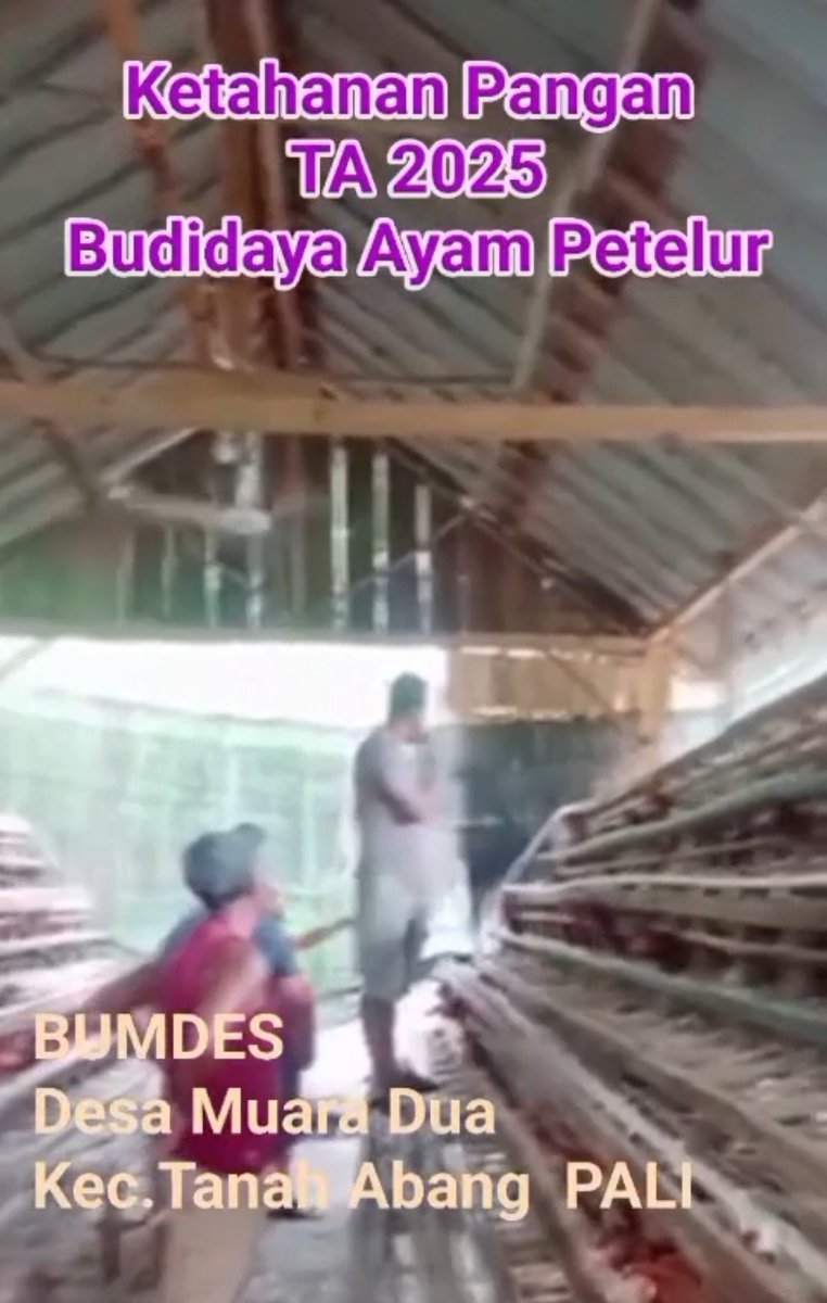 RMawung's tweet photo. BUMDesa Desa Muara Dua, Tanah Abang, Paling Sumatera Selatan mengelola Ketahanan Pangan untuk meningkatkan ekonomi rakyat. 

@YandriSusanto
@ARizaPatria
@KemensetnegRI

#KementerianDesaPDT
#BPSDMKementerianDesaPDT
#BUMDesaKelolaKetahananPangan
#BUMDesaKerjasamaKDMP
#KerjaTPPBerda https://t.co/5mtx09UmGO