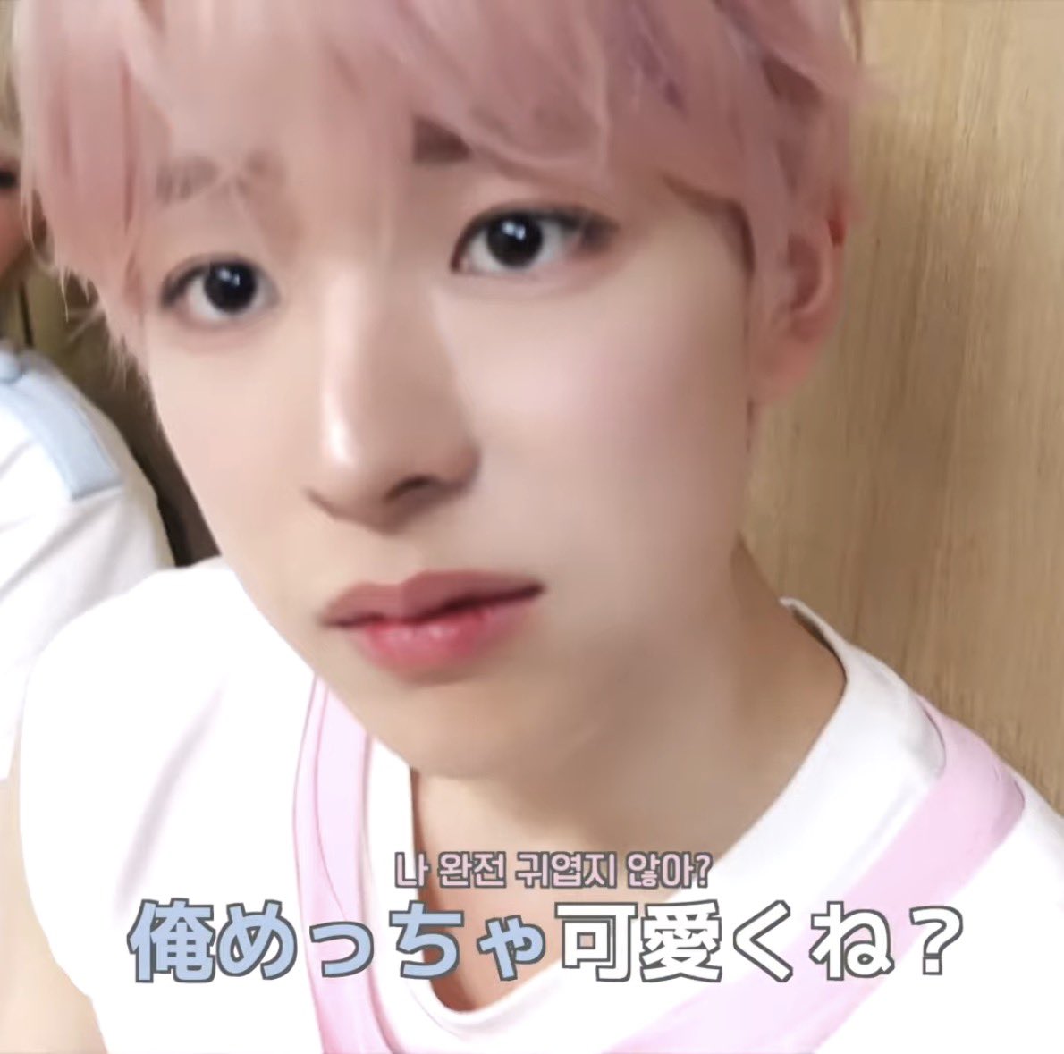루쿠 tweet media