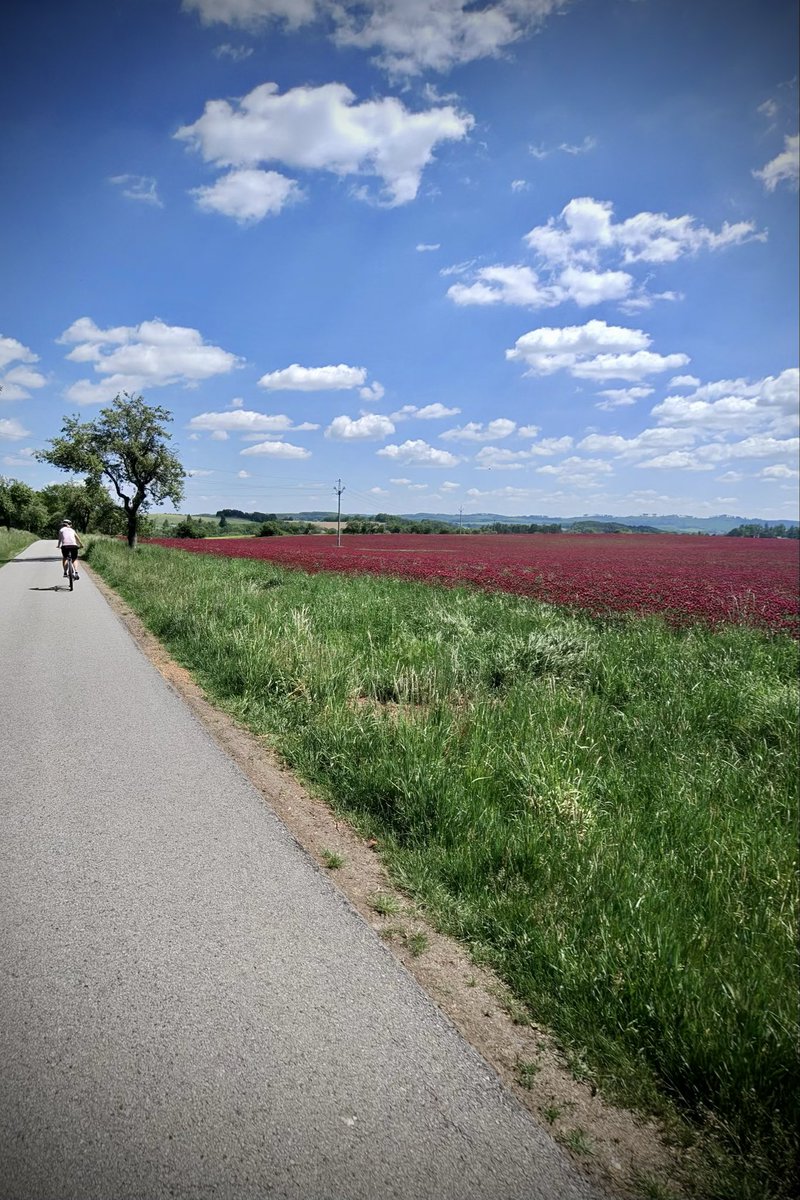 IvanMikula71's tweet photo. Pohodový test nového gravelu Wilier Rave na chalupě 🚴‍♂️🚴‍♀️ https://t.co/VrlBF3xwe5