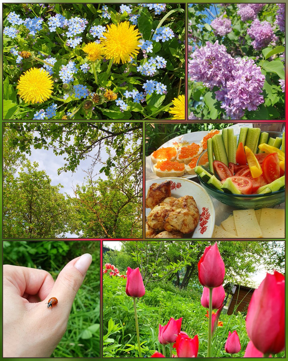 Svetarina 🌿🌷💜 tweet media