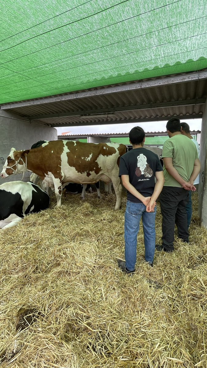 MataderosGC's tweet photo. El primer día de la Feria de Ganado nos dejó una jornada llena de sabor, tradición y mucho orgullo por nuestros productos🥩

Un inicio de feria que nos recuerda el valor de lo nuestro y todo lo que aún queda por disfrutar.🇮🇨

#FeriadeGanado #Gastronomia #ProductoLocal #Canarias https://t.co/i6rLHHzmb3