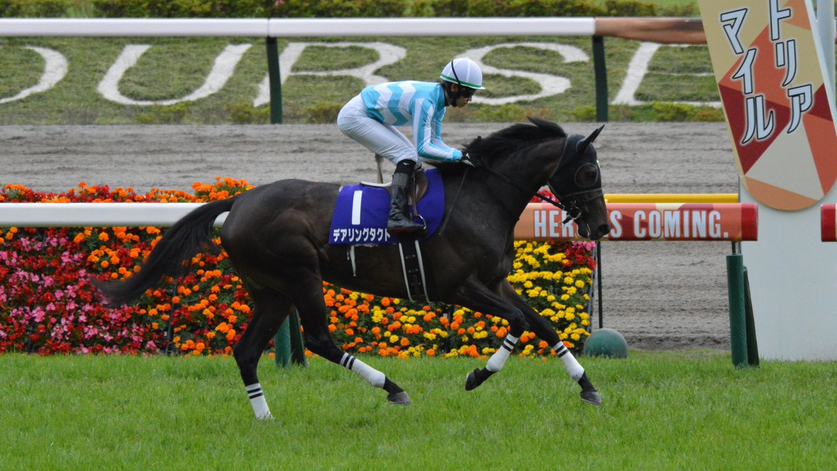 悲報】無敗の三冠牝馬デアリングタクトの仔、まさかの「セレクトセール 