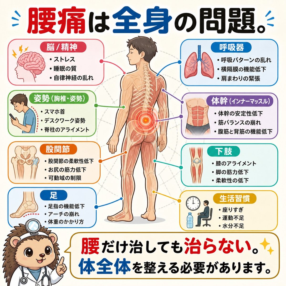 reha_nezumi's tweet photo. 腰痛は
全身の問題。 https://t.co/H9vsyKwFkz
