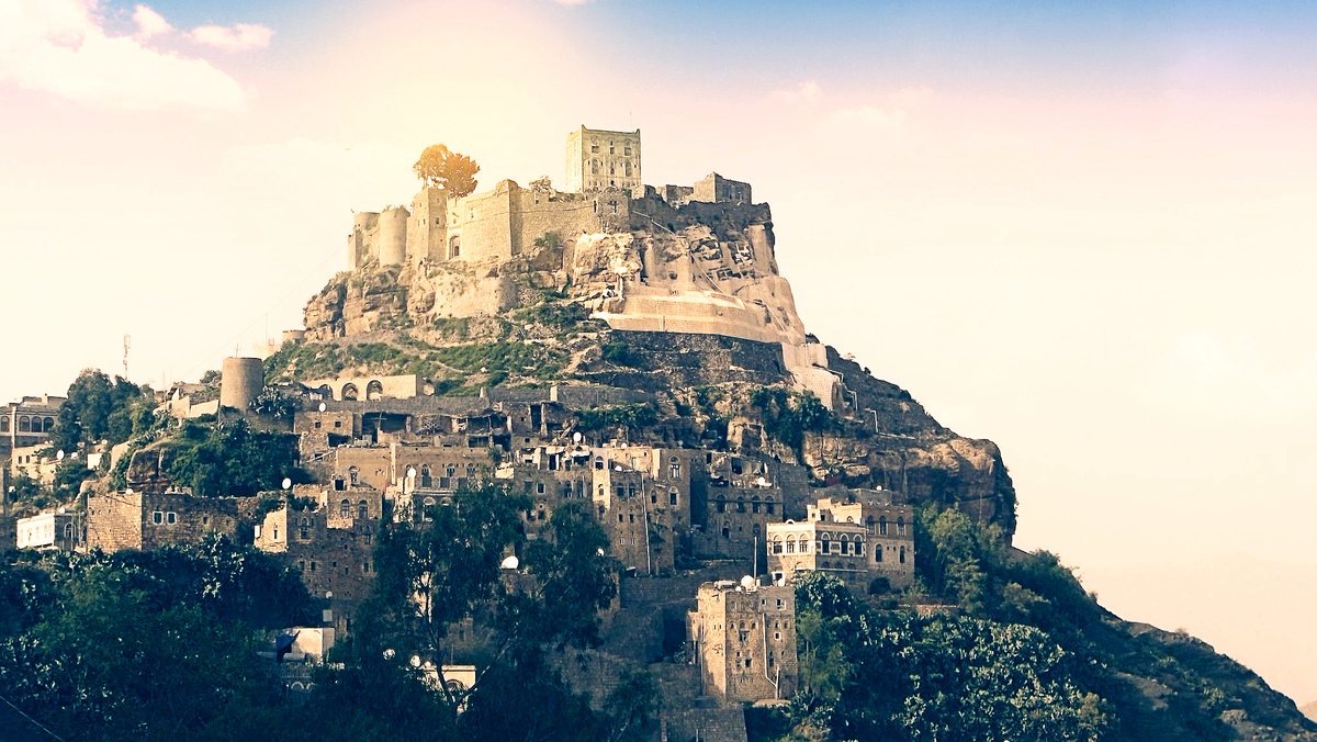 جينات اليمن Yemen's genes tweet media