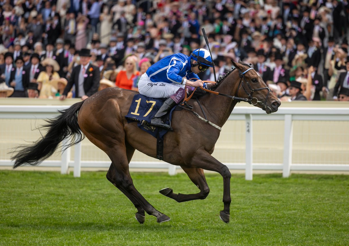 Racing Post tweet media