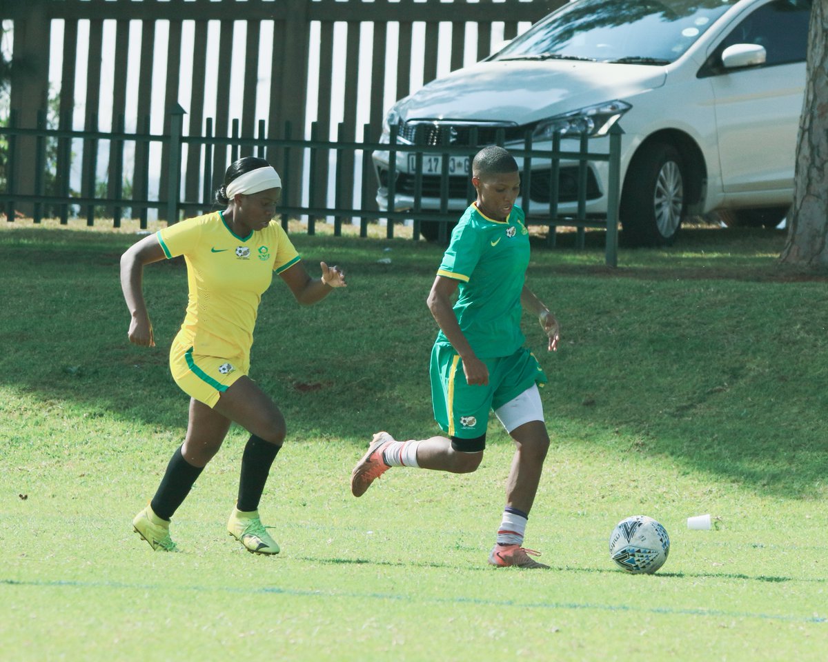 #TeamSA tweet media