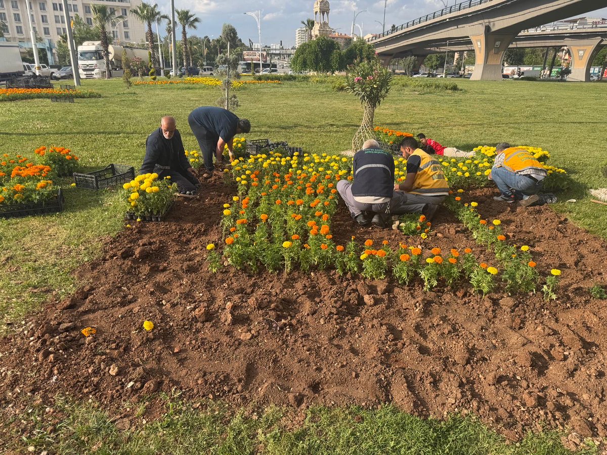 SbbPark's tweet photo. 📍Abide Kavşağı ❤️

Park ve Bahçeler Dairesi  Başkanlığına bağlı ekiplerimiz;👷🚧👷

Çiçek dikimi çalışmalarını hız kesmeden sürdürmektedir.🌸🌹🌼

@sanliurfabld 
@MithatCanKutluc 
@halilaldeniz_ 
@sukrukaracads 
@musadokuz_ https://t.co/meA4CV95x0
