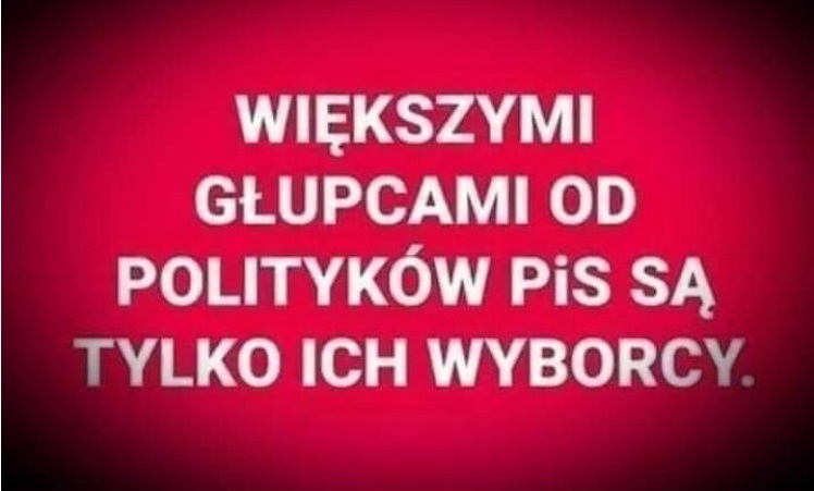 piotr von pritzwald tweet media