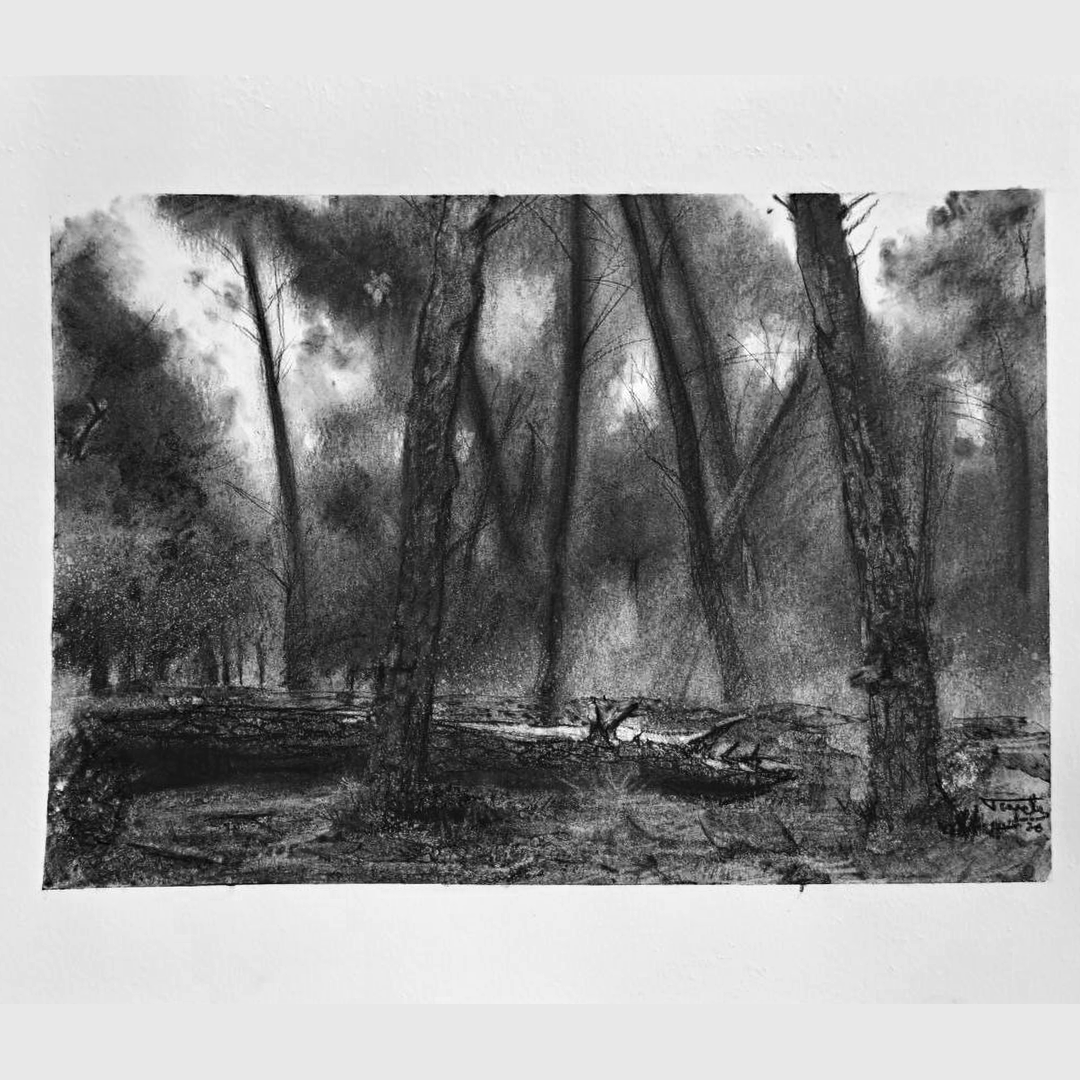 tayete's tweet photo. Fallen tree.
#carboncillo #charcoal #forest #pinar #fallentree #trees #arboles #realistart #realism #realisticart #realismo #traspinedo #valladolid #castillayleon https://t.co/D9hYxdbZrN
