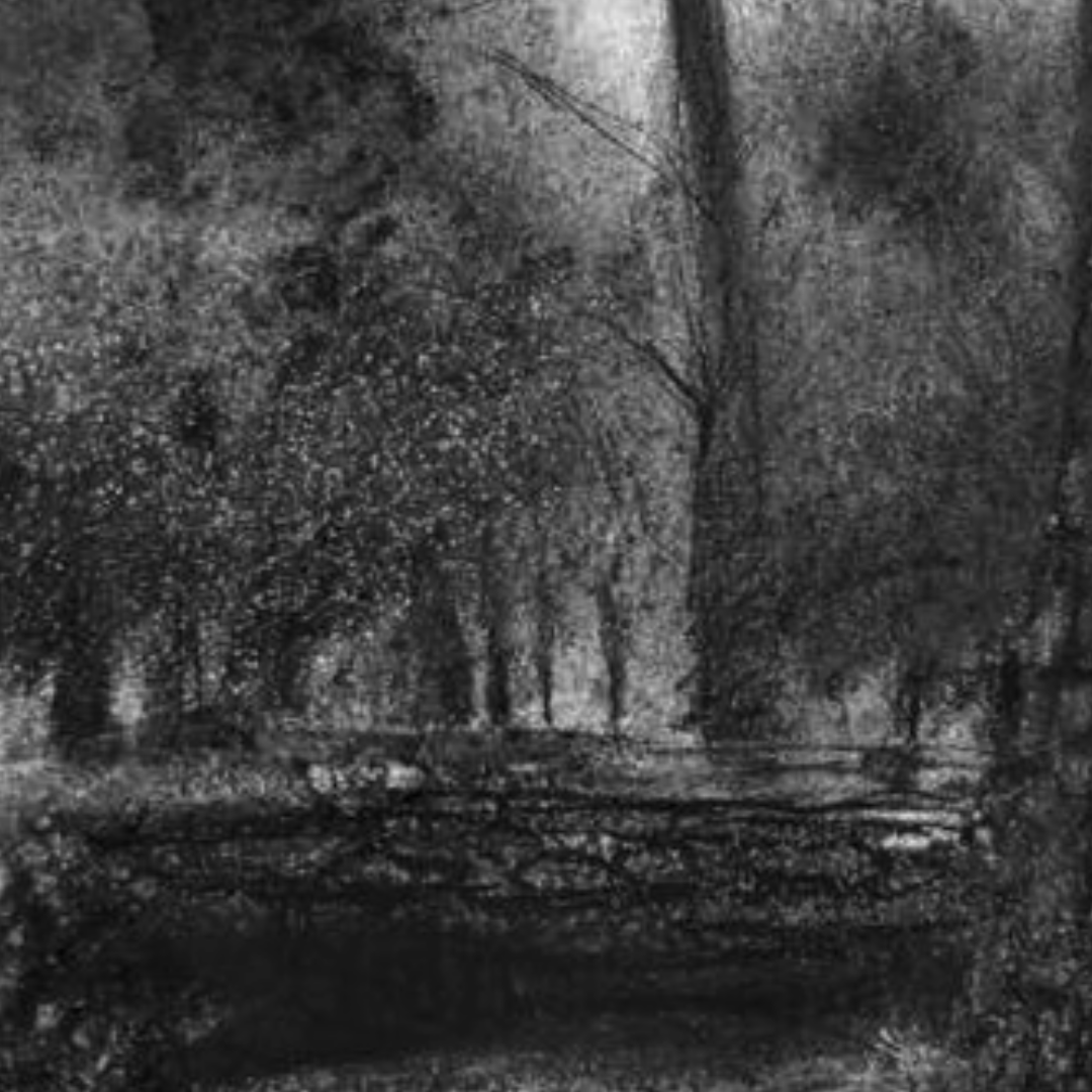 tayete's tweet photo. Fallen tree.
#carboncillo #charcoal #forest #pinar #fallentree #trees #arboles #realistart #realism #realisticart #realismo #traspinedo #valladolid #castillayleon https://t.co/D9hYxdbZrN