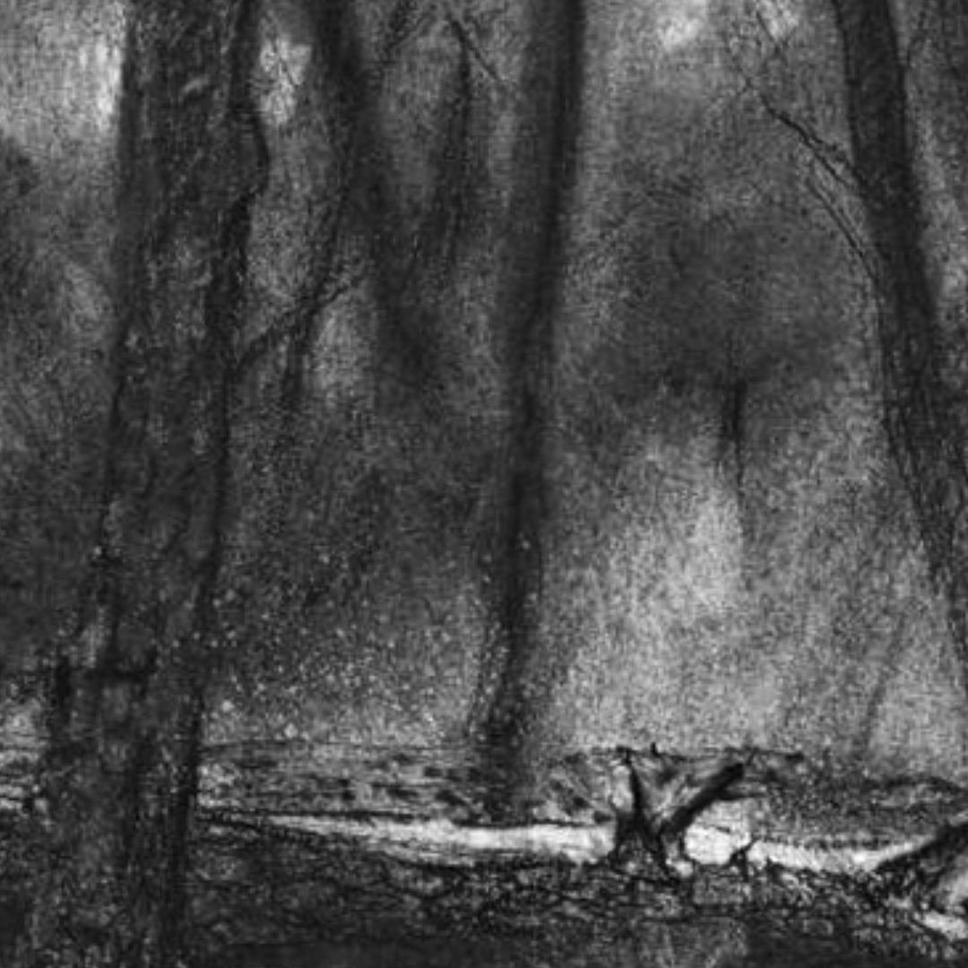 tayete's tweet photo. Fallen tree.
#carboncillo #charcoal #forest #pinar #fallentree #trees #arboles #realistart #realism #realisticart #realismo #traspinedo #valladolid #castillayleon https://t.co/D9hYxdbZrN