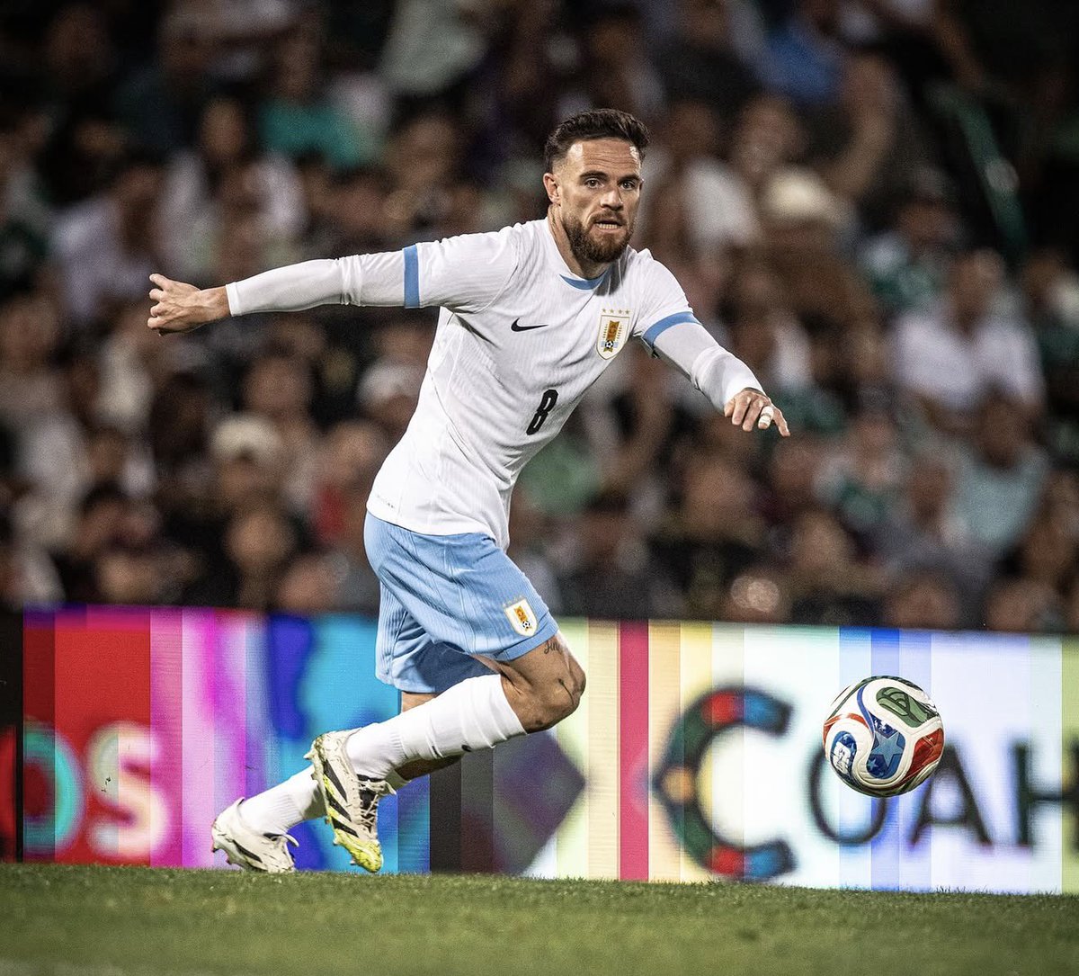 Diego Domínguez tweet media
