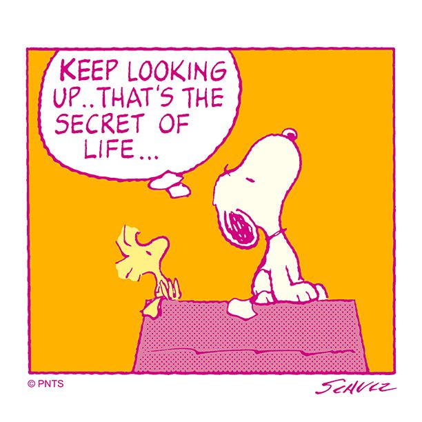 Snoopy tweet media
