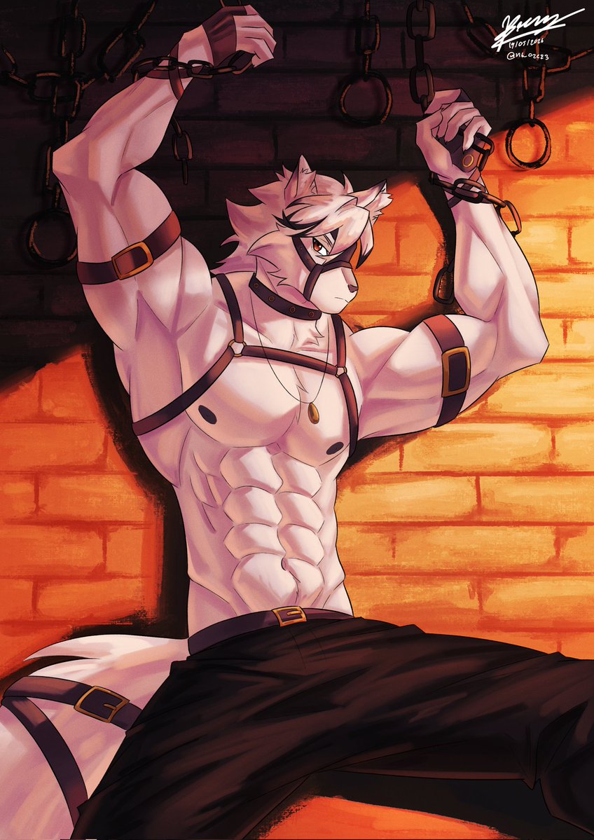 Shiro tweet media