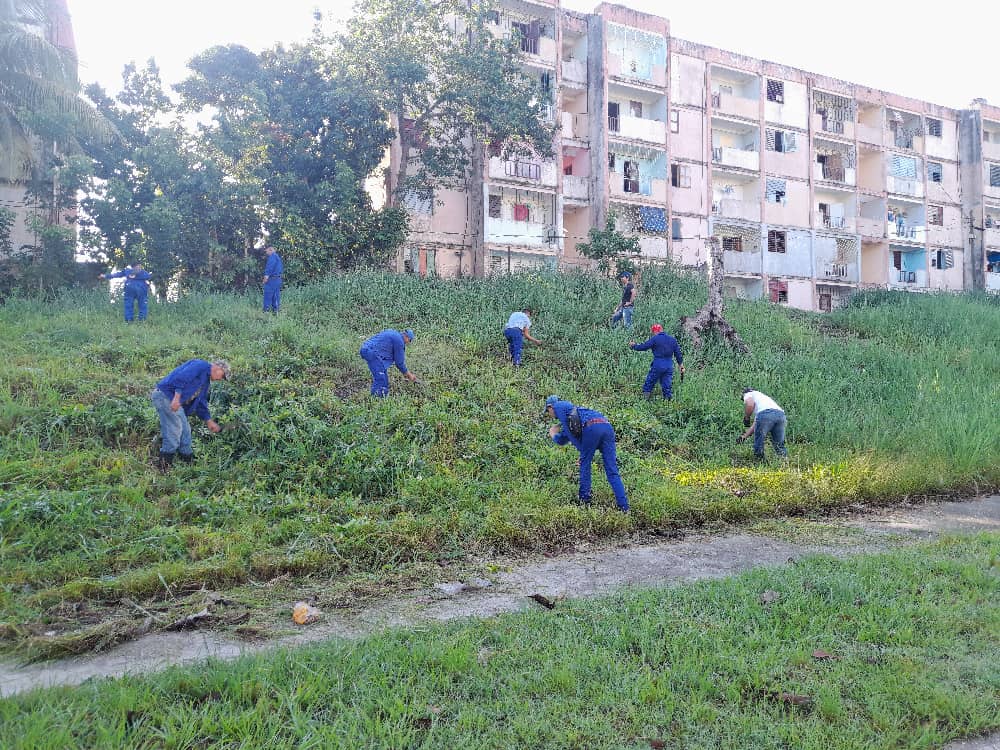 RobertoPrezMor3's tweet photo. Trabajadores de @ETECSA_VC seguimos durante el fin de semana trabajando en la chapea y recogida de desechos de la circunscripción 100 del Reparto Escambray en Santa Clara.
#EtecsaConCuba
#VillaClaraConTodos https://t.co/MGMWEVuLMi