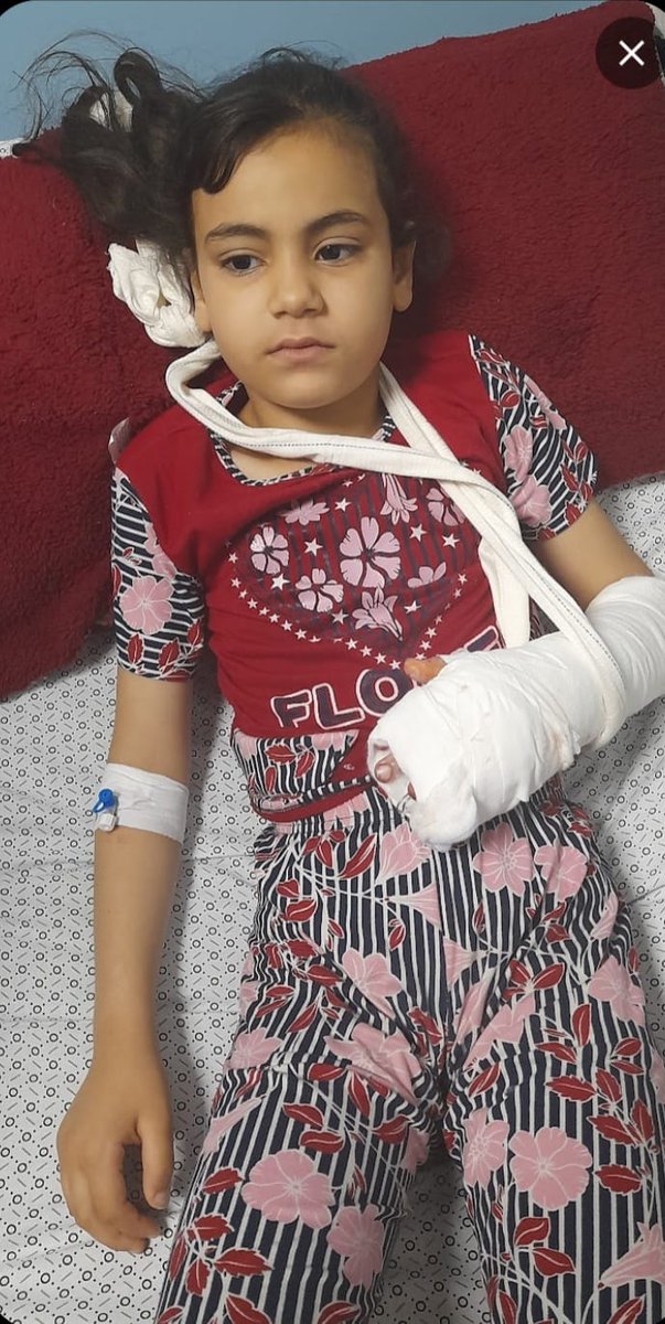 Dalula in Gaza tweet media