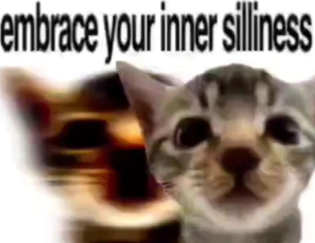 Punch Cat tweet media