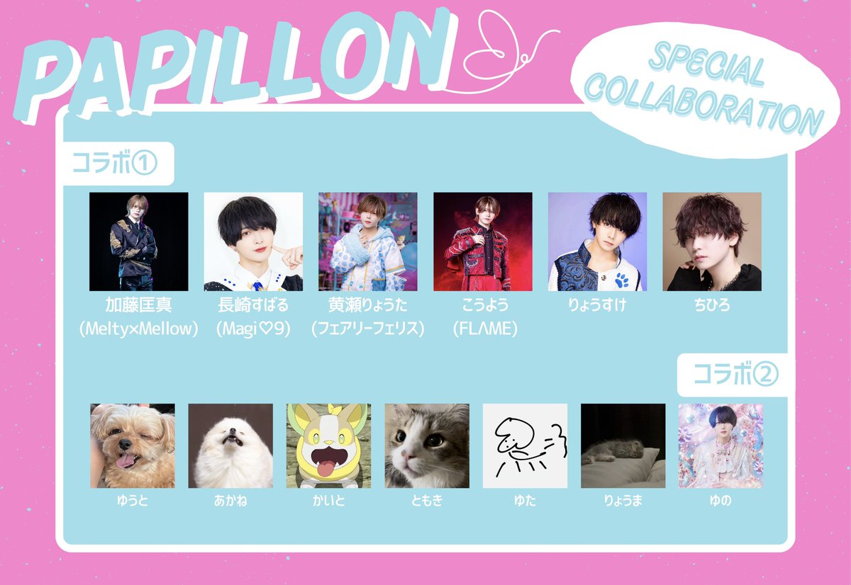 Papillon(パピヨン)🦋 (@Papillon_of) / Posts / X