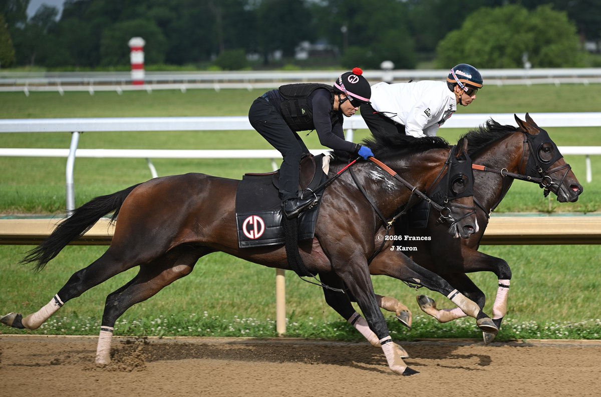 francesjkaron's tweet photo. With Jose Ortiz up, Kentucky Derby winner Golden Tempo worked 5 fur. in 1:00 1/5 at Keeneland this AM for @reredevaux, in company again w/ So Sandy (Omaha Beach; Martin Pedroza up). The son of Curlin, a future Lane's End stallion, is headed to the Belmont at Saratoga on June 6th. https://t.co/817ndlA0cG
