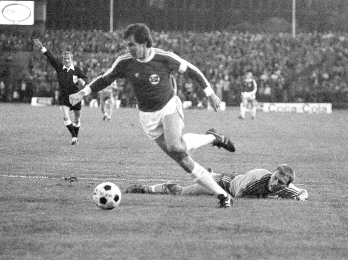 NorgesFotballforbund tweet media