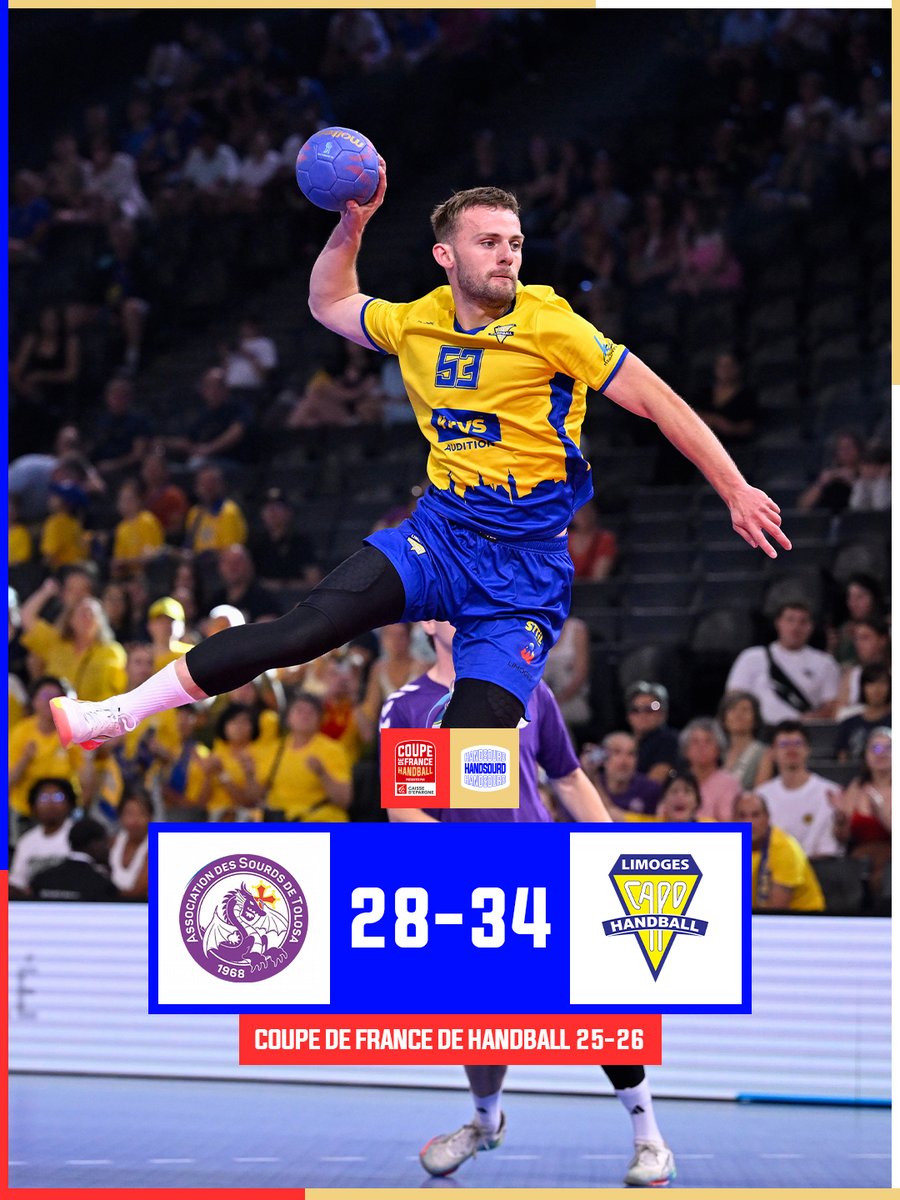 FFHandball tweet media