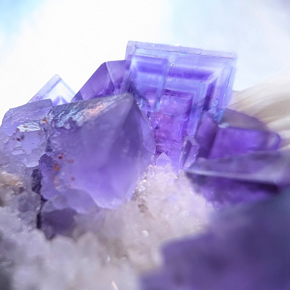 forestokiwa's tweet photo. ベルベスの蛍石は結晶が綺麗
水晶が共生すると一気にきらびやかに! https://t.co/8zkY8nRL6H