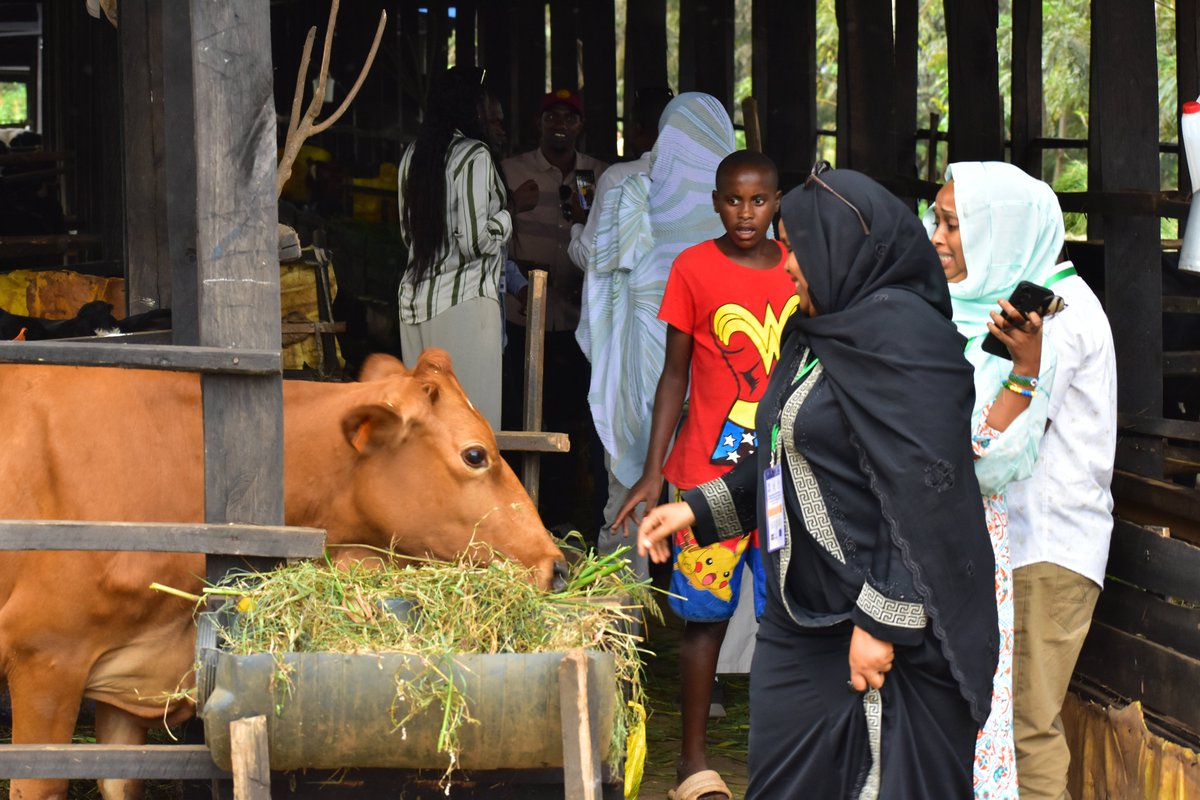IGAD Health & Social Development Division tweet media