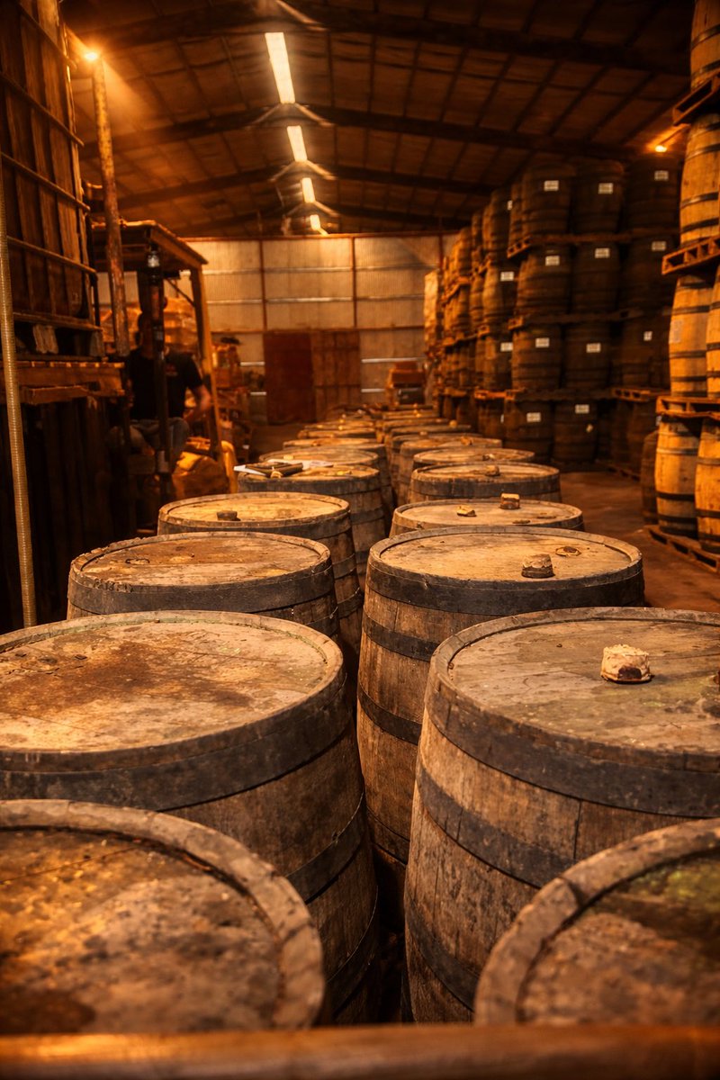 Grander Rum tweet media