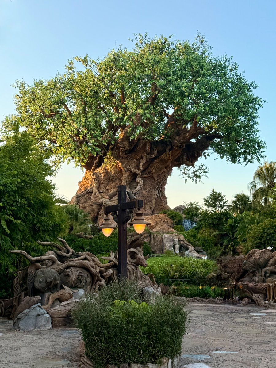 Epcot Fan+WDW+DVC tweet media