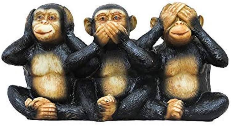 ShaleenJain05's tweet photo. "Blind to the errors, deaf to the outrage, and silent on accountability: the united front of @cbseindia29, the @EduMinOfIndia, and the @PMOIndia."

#CBSEreevaluation 
#OSMFaliure
#cbseresult
#CBSEevaluationrow
#Justiceforstudents https://t.co/WIDww6pgkJ